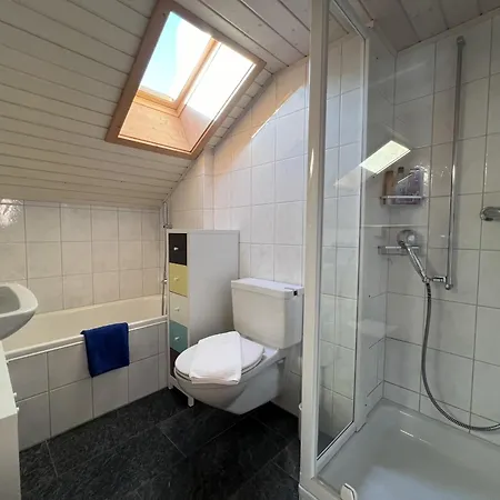 Tilia Penthouse Daire Wengen